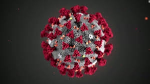 Updated COVID19 Coronavirus information